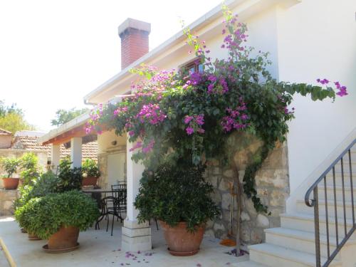 Holiday Home Artina 2 - image 6