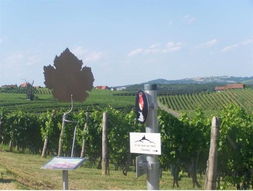 Weinhof Gästehaus Radl - image 3