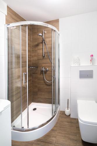 Apartament Smętka