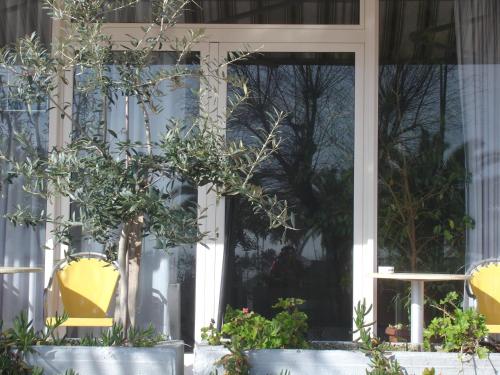 Petit Hotel – San Benedetto del Tronto, MO