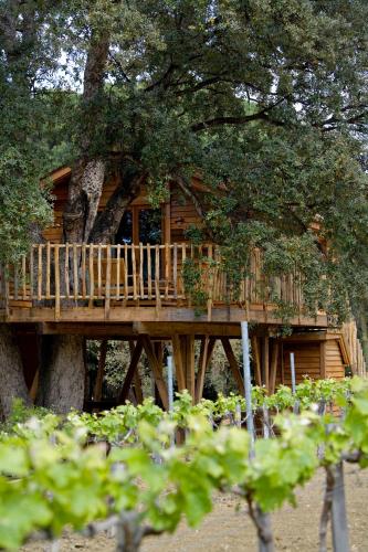 Family Tree House (2 adults + 2 children)