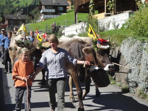 Hotel Urirotstock - image 14