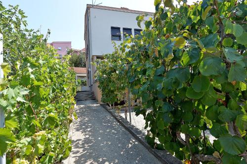 Bozena, Zara (Zadar) (foto 2)