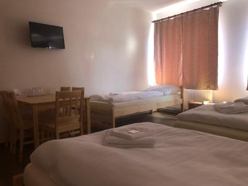 Restarace a penzion Hvězda - image 9