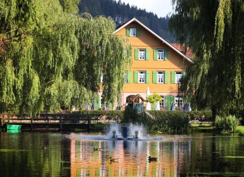 Hotel Zur alten Mühle - Neuenbürg