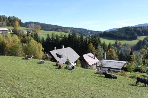 Ferienhaus Pliescherhof