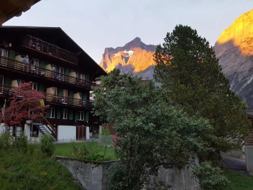 Hotel Tschuggen - image 11