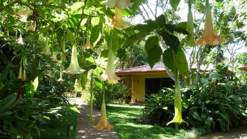 Tacacori EcoLodge