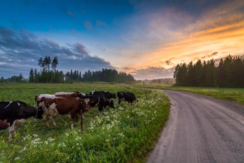 Visit Hautakyla in Karstula