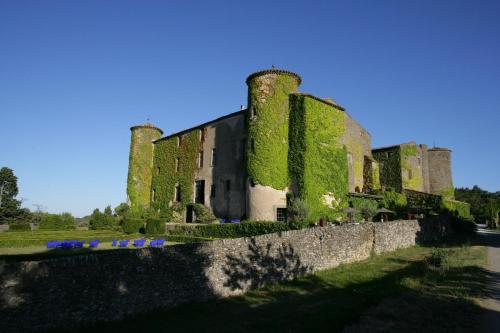 Château de Villarlong - Apartment - Villarzel-Cabardès