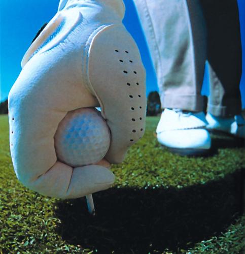 Hotel Alexander - image 9