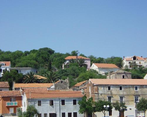 Apartments with WiFi Sali Dugi otok - 886