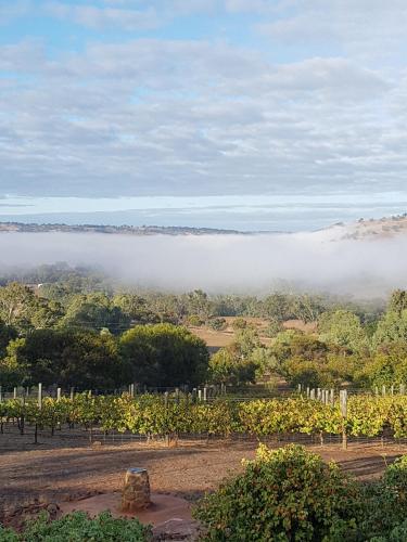 Pecan Hill BNB West Toodyay