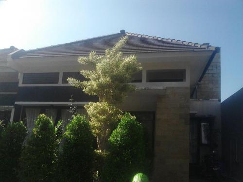 Villa Kusuma PInus M41