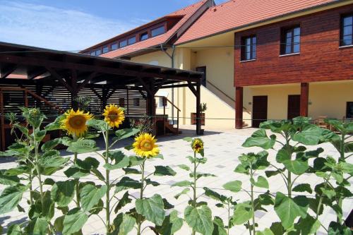 花園, Hotel Pod Sluncem in 特熱比茲