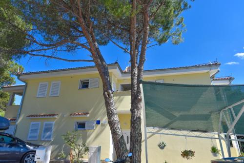  Apartments Kosalec in Bibinje