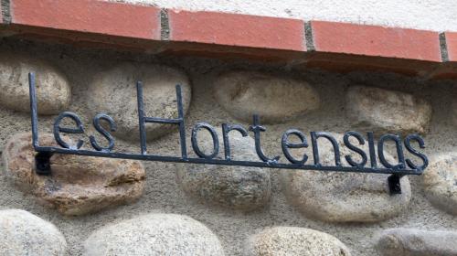 Les Hortensias