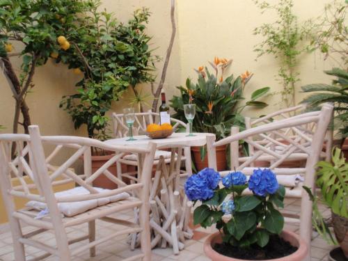 Petrino - main image