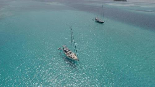 Play to Live San Blas in 埃波班尼