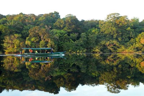 Amazon Ecopark Jungle Lodge