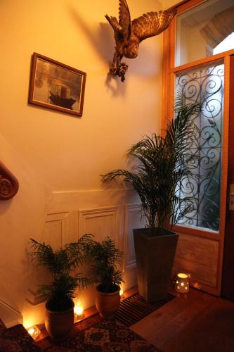 Antonius Bed and Breakfast - main image