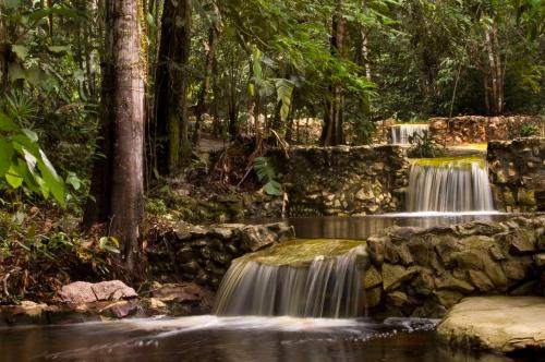 Amazon Ecopark Jungle Lodge