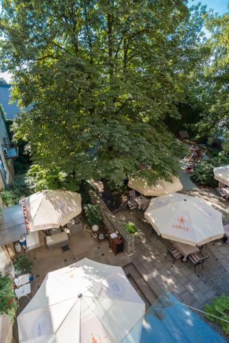 Niebieski Art Hotel & Spa - image 8