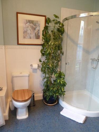 Burnside Guest House - image 11