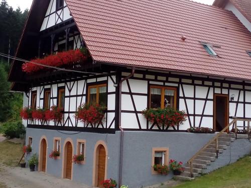 Steinhof, Oberkirch (foto 3)