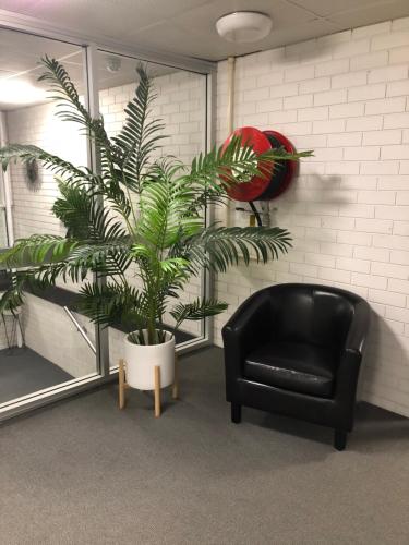 Adelaide Airport Motel near Adelaide repülőtér