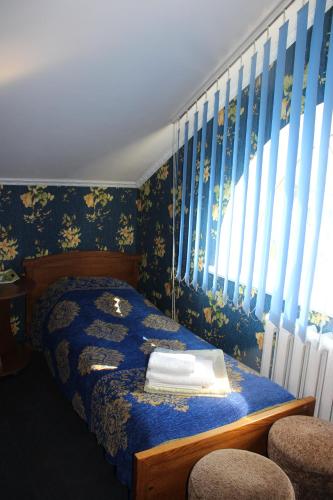 Zolota Pidkova - image 4