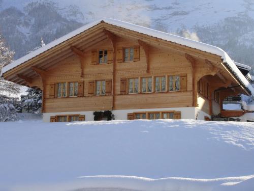 Chalet Asterix, Grindelwald (photo 10)