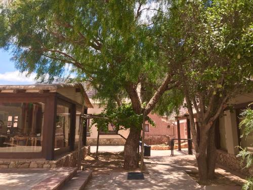 Las Vicunas Departamentos