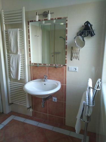 Appartment Lainz, Vídeň (fotografie 8)