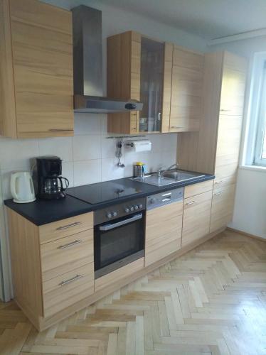 Appartment Lainz, Vídeň (fotografie 6)