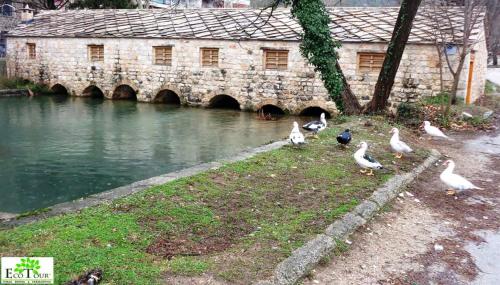 Room at Grandma's Fatima - image 8