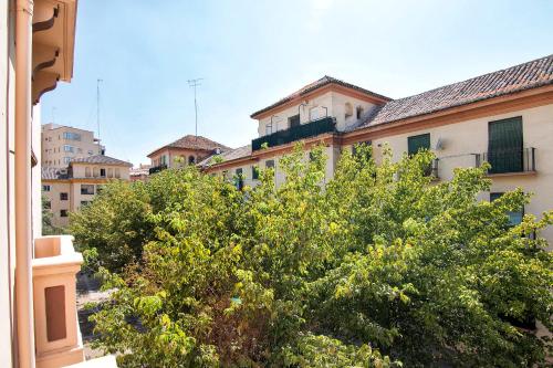 Bright & Elegant City Centre 3 bedroom Apartment, Granada (photo 11)