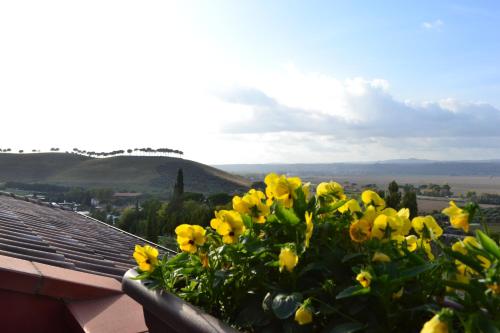 Sunnyhill Home - Rome