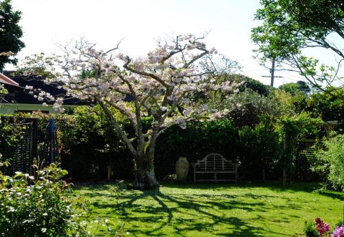 Garden Retreat in Otaki