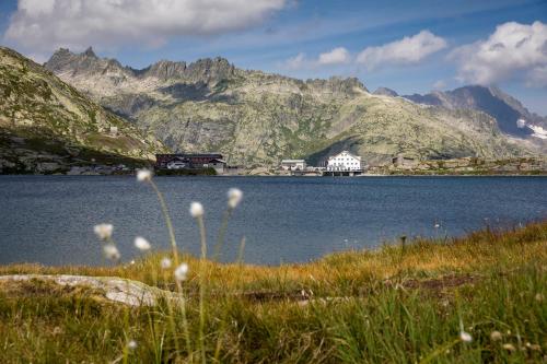 Hotel Grimsel Passhöhe - image 9