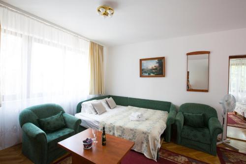 Helios Apartman Hotel - image 3