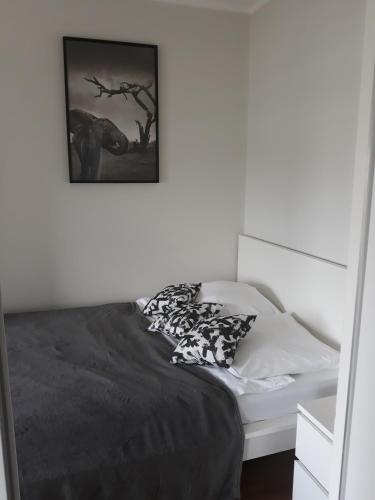 MG Apartments Siedmiogrodzka - image 14