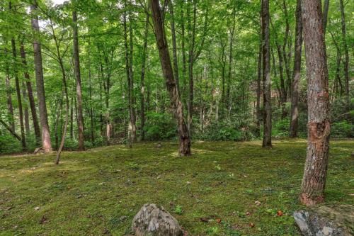 Eagle's Nest - image 4