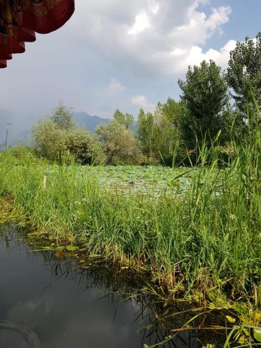 Kashmir View group of Houseboat – Srinagar, PA