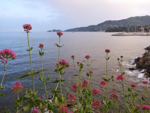 Giramondo in Rapallo