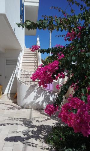  Casa Vacanze Salento con giardino e posto auto, Pension in San Foca