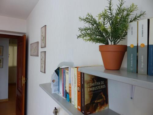 Apartamentos Santiago Compostela