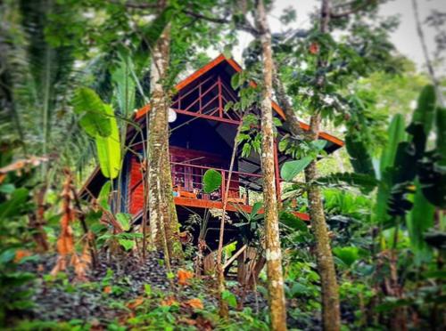 Surf Break at Paunch