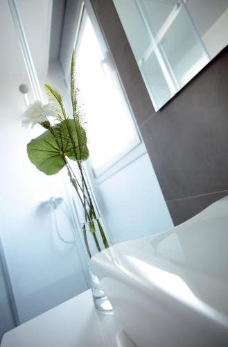 08028 Apartments - image 4