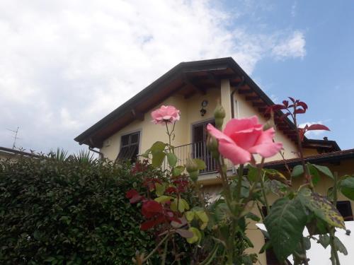  Casa Enrica in Montignoso